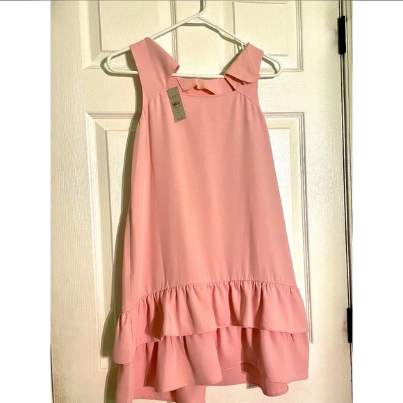 NWT | LOFT Pink Shift Dress | 6P - Picture 7 of 7